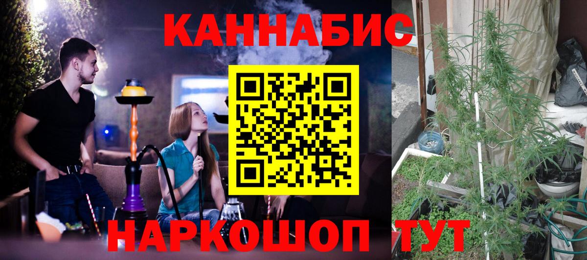 Каннабис MAZAR Луга
